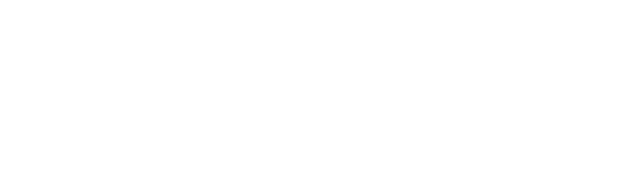 boehringer-ingelheim